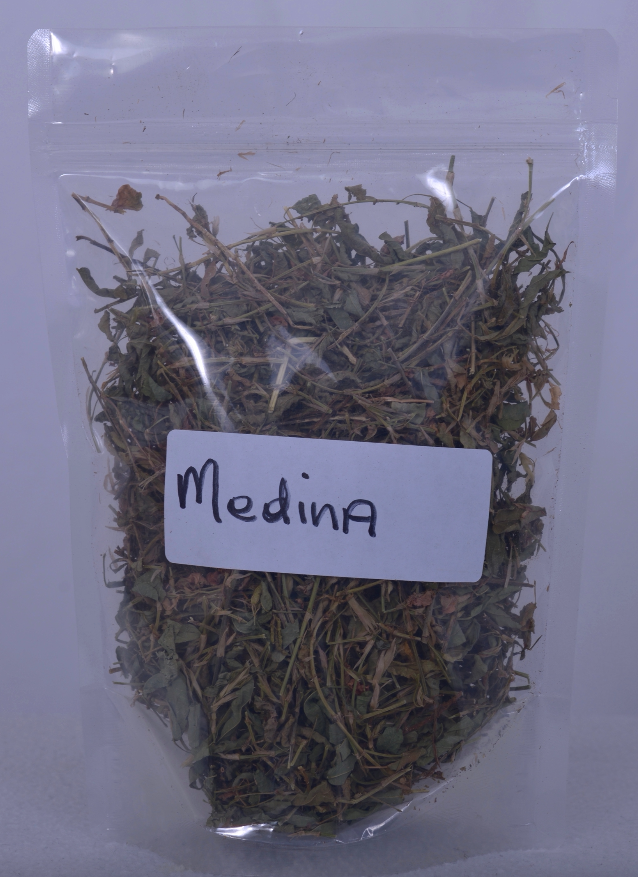 Medina leaf Royal Maroon herbs